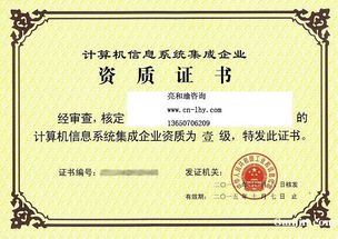 信息系統(tǒng)集成及服務(wù)項(xiàng)目管理人員登記管理辦法——行業(yè)規(guī)范與個(gè)人發(fā)展的雙重指南